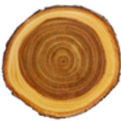 WLP07  Old West Log Wood Plaque 