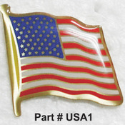  USA Flag Pin with Epoxy Dome and Clutch Back
