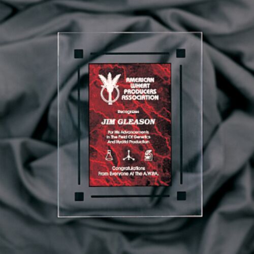 JDS CPQ7RM 7" x 9" Marble Acrylic Clear Plaq CPQ7RM CPQ7RM 7" x 9" Marble Acrylic Clear Plaq Thumbnail