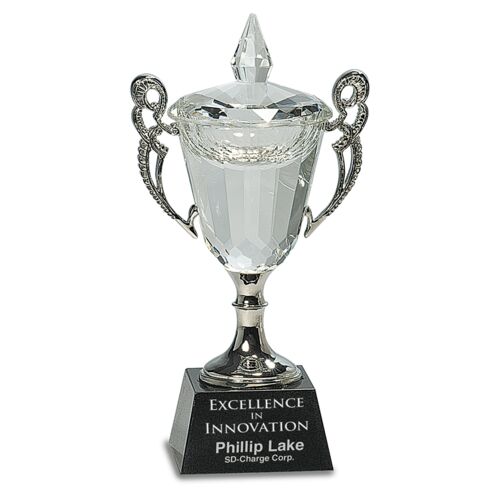 CRY052S - 8" Crystal Cup with Silver Handles and Stem Thumbnail