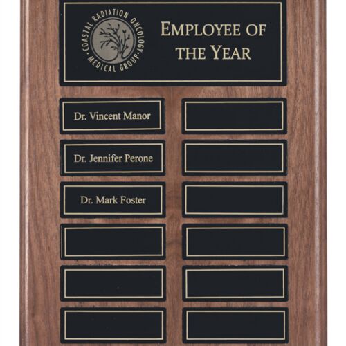 APT200CBK - 9" x 12" Recognition Pocket 12 Plate Perpetual Plaque Thumbnail