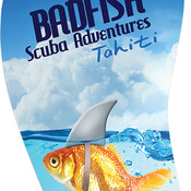 UN4729  2-Sided Semi-Gloss Aluminum Flip Flop Bag Tag