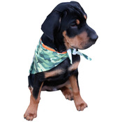 VDOGBAN  Single-Sided Triangle Cut Bandana