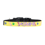 AC34-1216 - Dog Collar - Medium - 12" - 16" Size Range