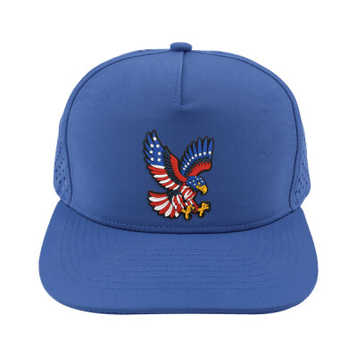 PTHP108 Eagle Hat (USA250) Thumbnail